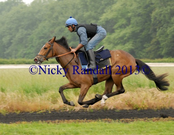 Red Red Rascal 2nd June 1