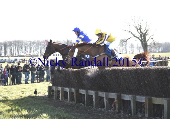 7th March 4th race 13 Nodforms Violet 10 Loose Preformer 2