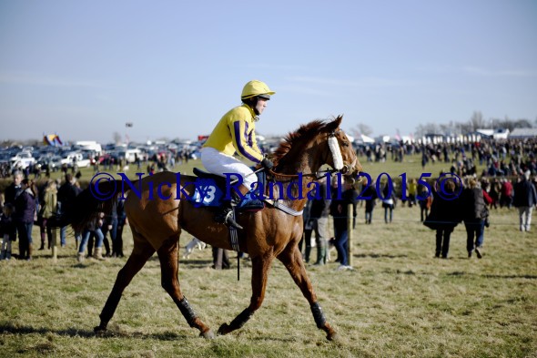 7th March 4th race 13 Nodforms Violet after race