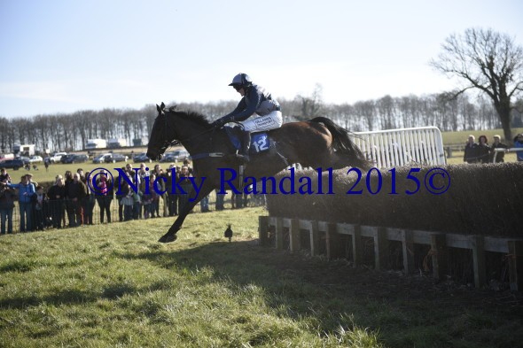 7th March 4th race Ned The Post 2