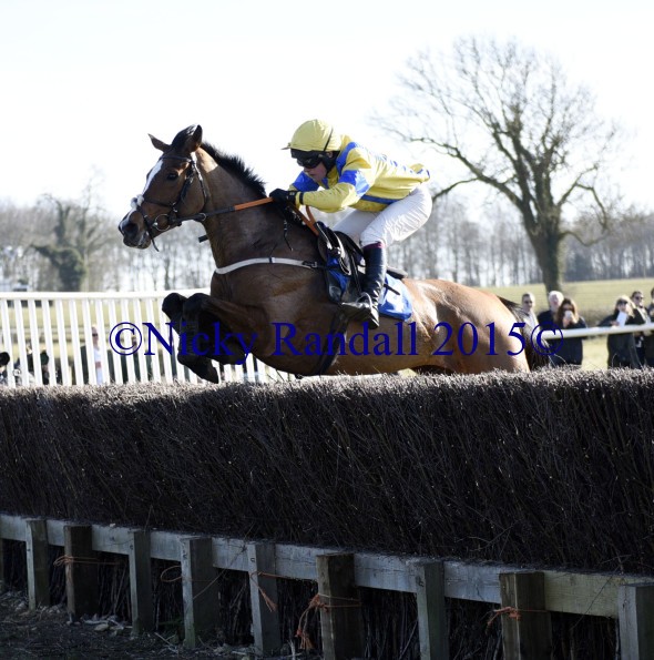 7th March 5th race 14 The Flying Doctor 1