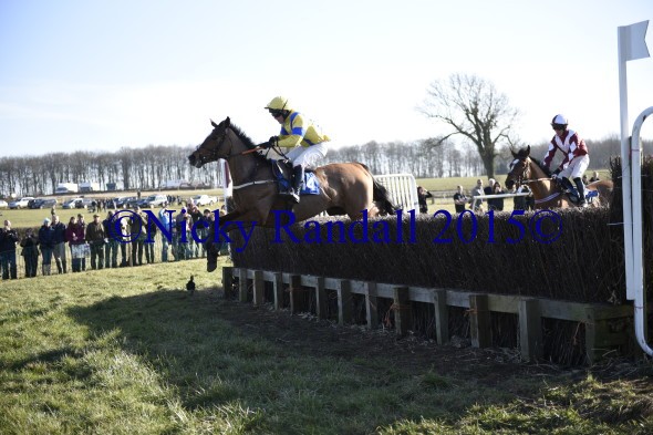 7th March 5th race 14 The Flying Doctor 2