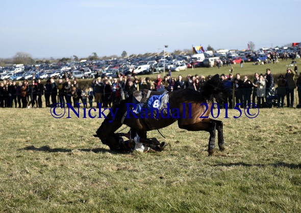 7th March 5th race 8 Jump to The Beat 11