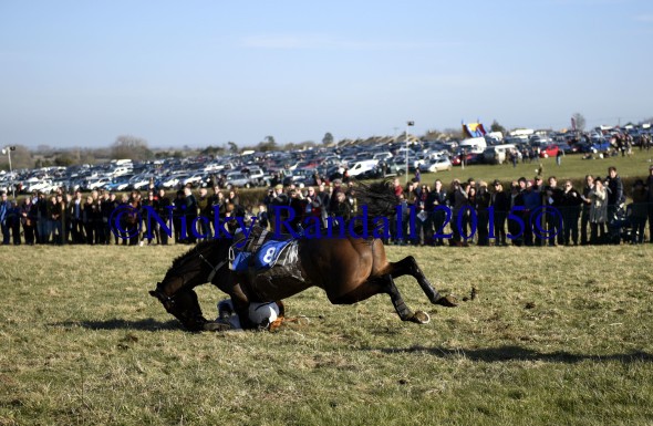 7th March 5th race 8 Jump to The Beat 12