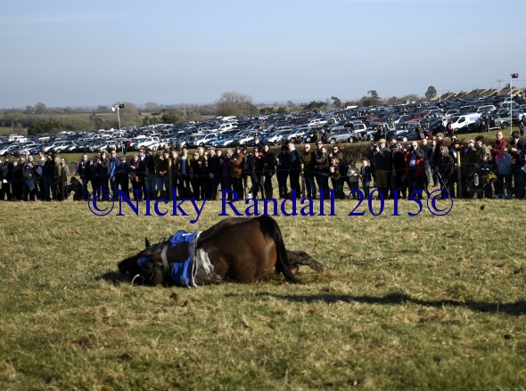 7th March 5th race 8 Jump to The Beat 14