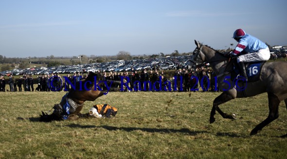 7th March 5th race 8 Jump to The Beat 16