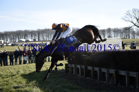 7th March 5th race 8 Jump to The Beat 2