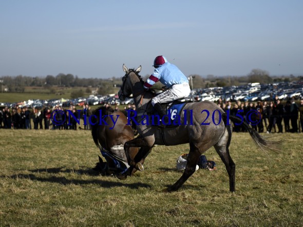 7th March 5th race 8 Jump to The Beat 20 with 16 The Persuader