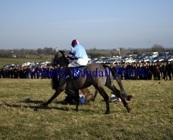 7th March 5th race 8 Jump to The Beat 21 with 16 The Persuader