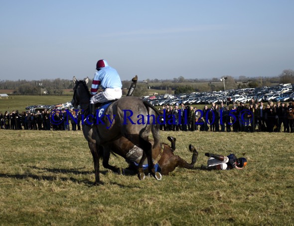 7th March 5th race 8 Jump to The Beat 22 with 16 The Persuader