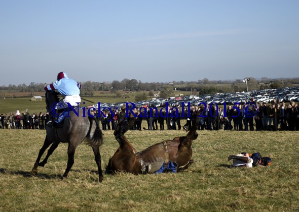 7th March 5th race 8 Jump to The Beat 24 with 16 The Persuader