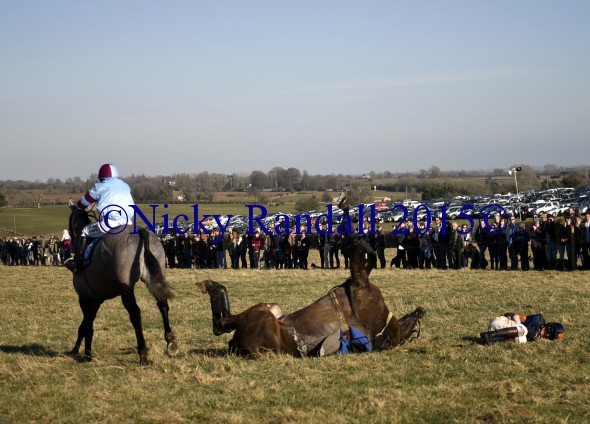 7th March 5th race 8 Jump to The Beat 25 with 16 The Persuader