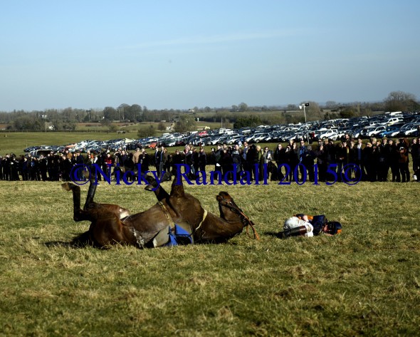 7th March 5th race 8 Jump to The Beat 27