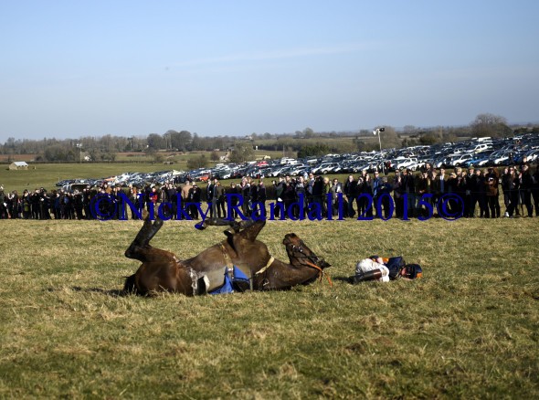 7th March 5th race 8 Jump to The Beat 28