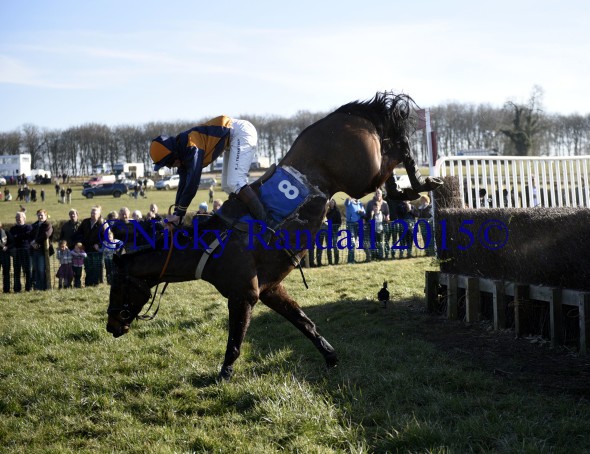 7th March 5th race 8 Jump to The Beat 3