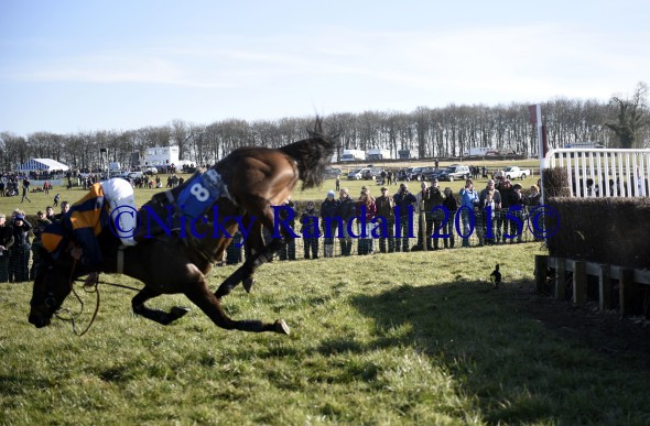 7th March 5th race 8 Jump to The Beat 4