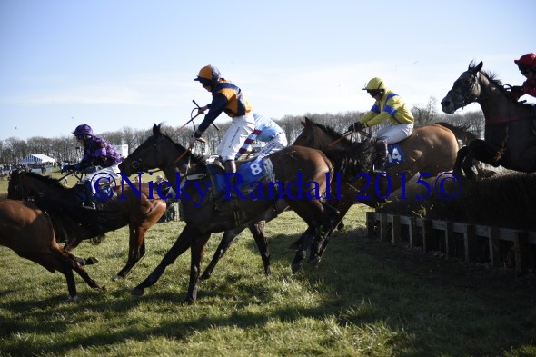 7th March 5th race 8 Jump to the Beat